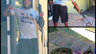 Trespassing Snake Brutally Murdered With Pellet Gun By Patrick Willis